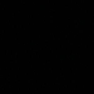 Meet your Posher, Pedro